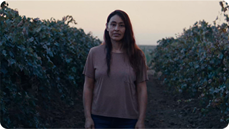 A woman standing in a vineyard at dusk, with a thoughtful expression on her face.