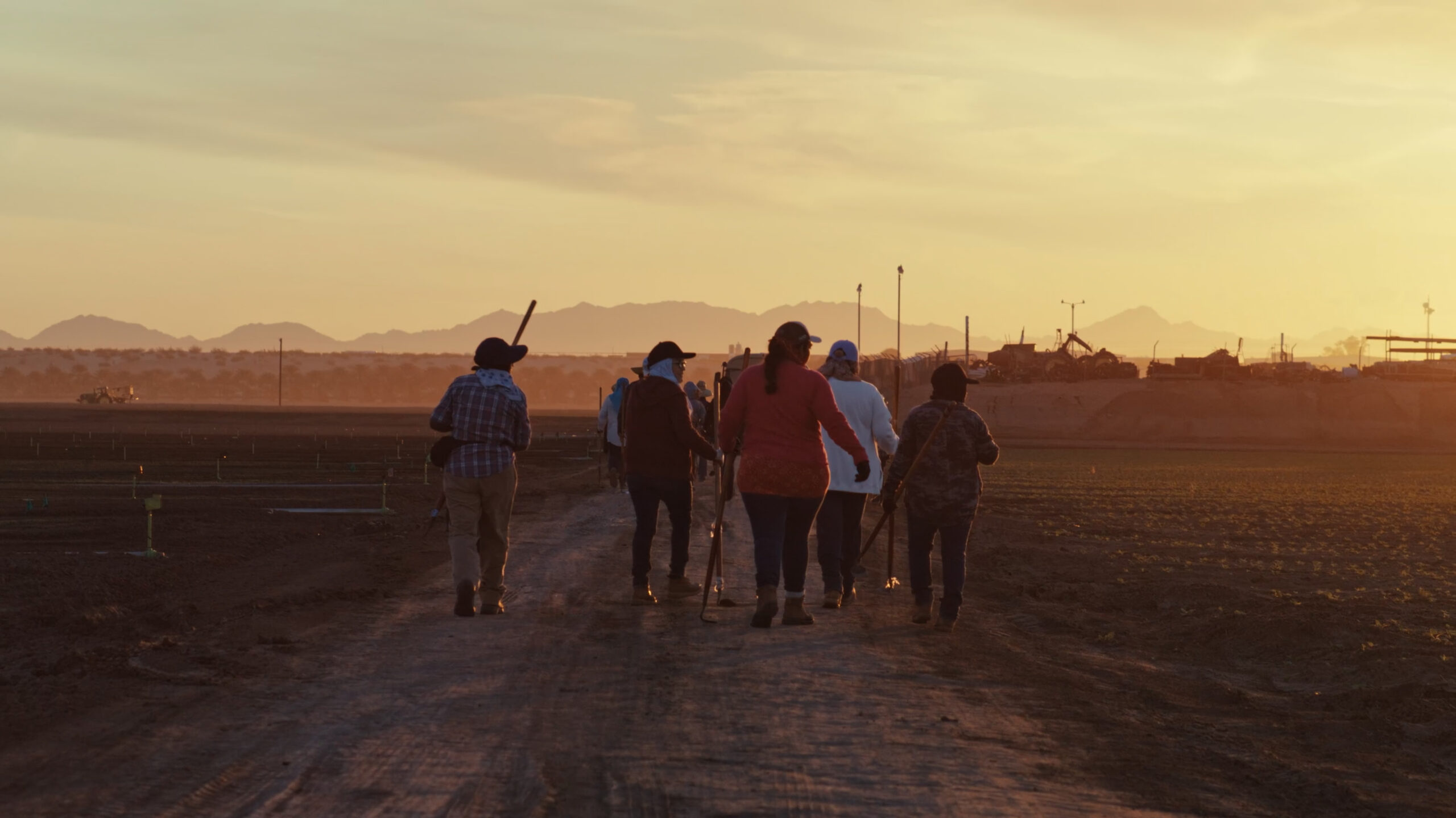 A group of farm workers walking down a dirt road with tools in hand, as the sun sets over the agricultural field, casting a warm golden glow across the landscape.