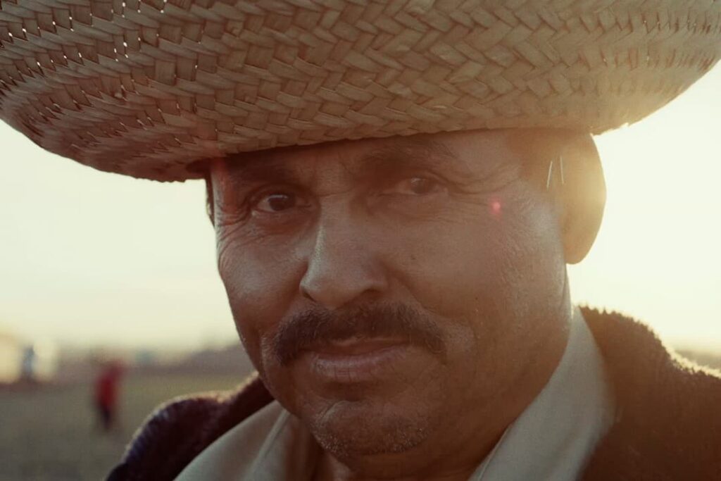 A man wearing a straw hat gazing into the distance as golden sunlight bathes his face.